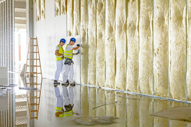Best Commercial Insulation in Pho, IL